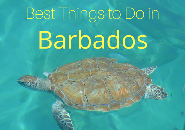 8 best things to do in Barbados - The Savvy Globetrotter