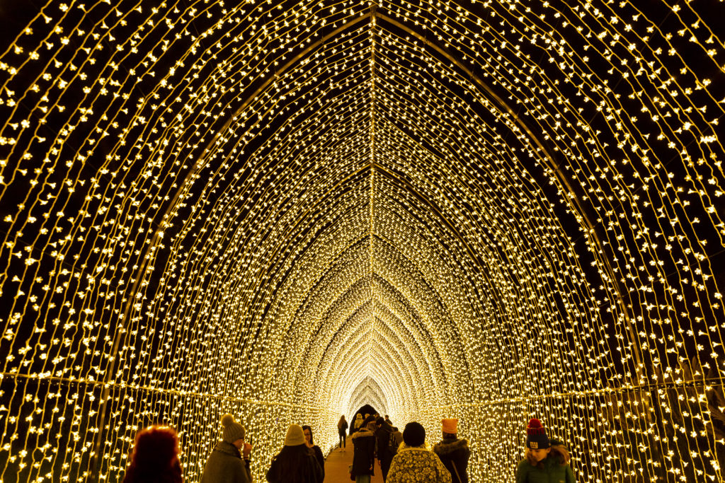 Sparkling tunnel of light at Lightscape Chicago Botanic Garden