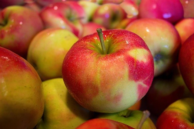 apples at a cider mill