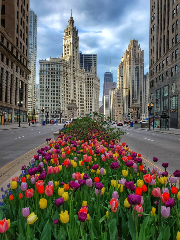Best Things to Do in Chicago in the Spring